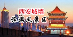 嗯啊啊啊骚的视频网站中国陕西-西安城墙旅游风景区